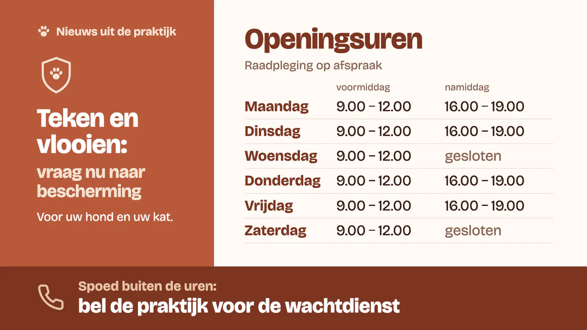Screen with the opening hours from Monday to Saturday, consultations by appointment, news about protection against ticks and fleas and, in an emergency outside opening hours, call the practice for the out-of-hours service